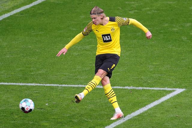 尔夫注入了 尔夫注入了