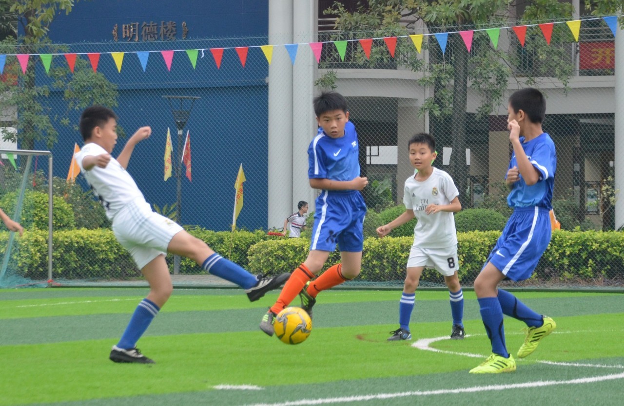 斯卡护照 斯卡护照